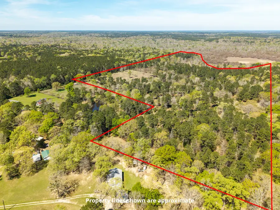 621 Herman Nerren Road, Huntington, TX 75949 - #2