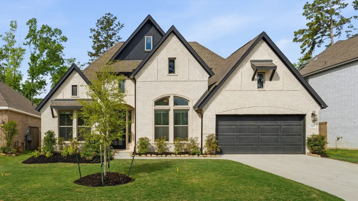 22038 Gateway Arch Drive, Porter, TX 77365 - #1