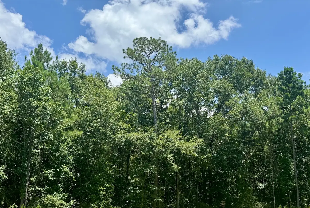 Lot 14 Riverstone Drive, Livingston, TX 77351 - #1