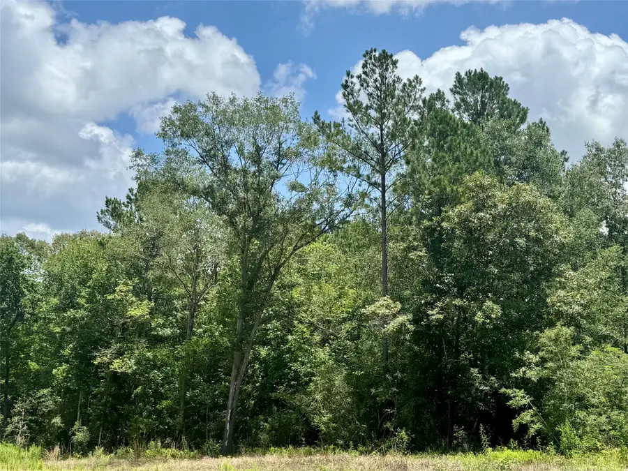 Lot 14 Riverstone Drive, Livingston, TX 77351 - #3