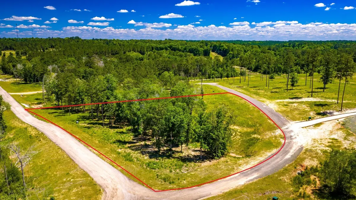 TBD Lot 15 - Addison Road, Livingston, TX 77351 - #1