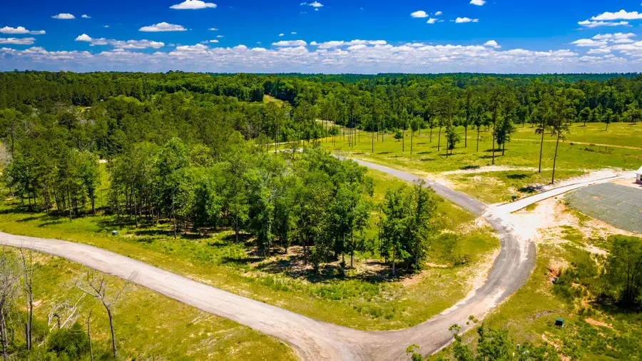TBD Lot 15 - Addison Road, Livingston, TX 77351 - #2
