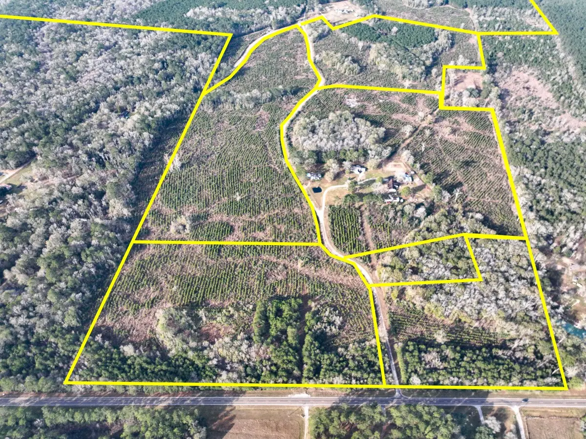 6 Tall Cotton Road, Saratoga, TX 77585 - #1