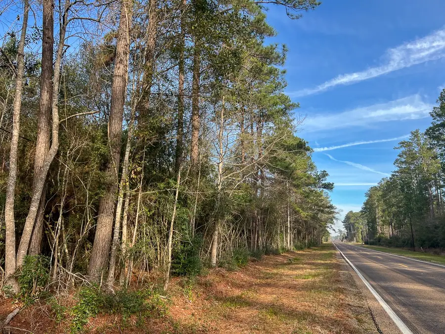 6 Tall Cotton Road, Saratoga, TX 77585 - #2