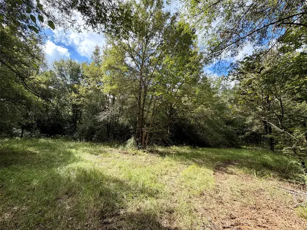 13 ac Pr 2110, Centerville, TX 75833