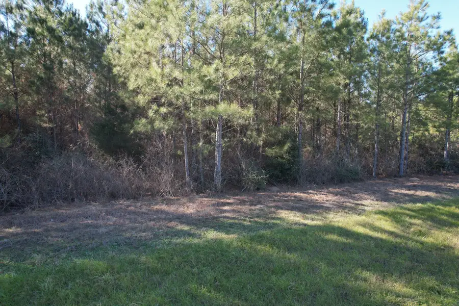 15991 Wood Grove Way, Willis, TX 77378 - Image #2