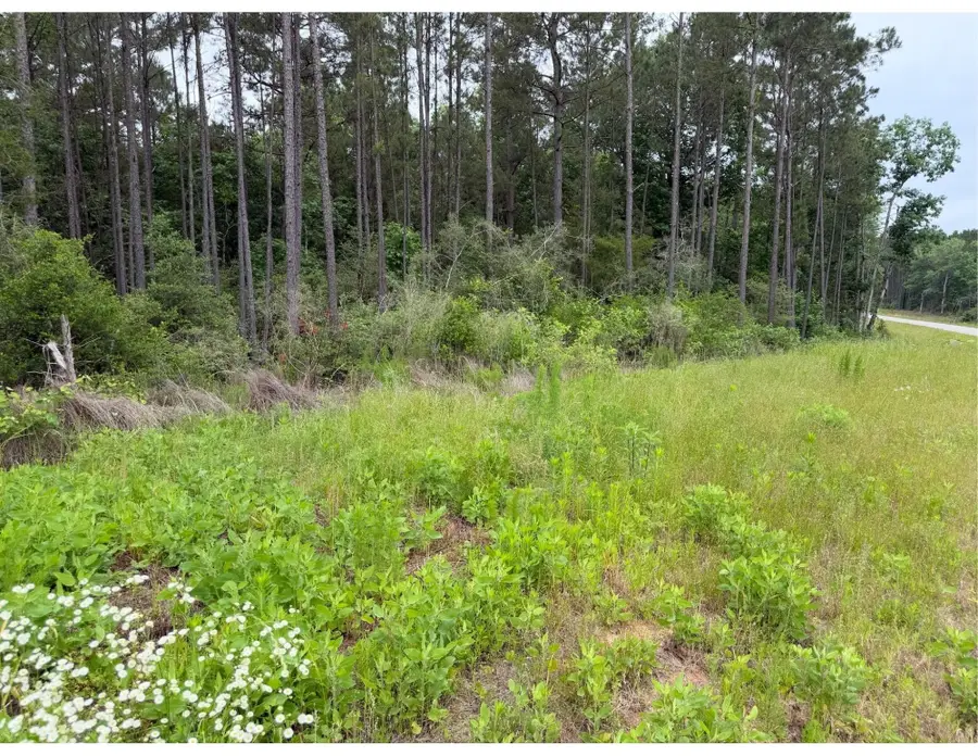 15890 Ridge Oak Road, Willis, TX 77378 - #3