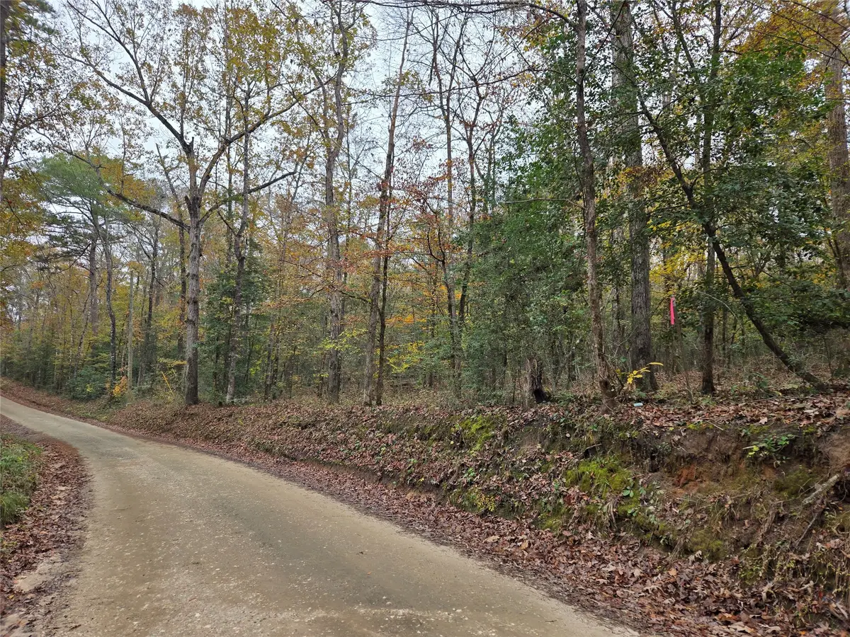 TBD County Road 3150, Colmesneil, TX 75938 - Image #1