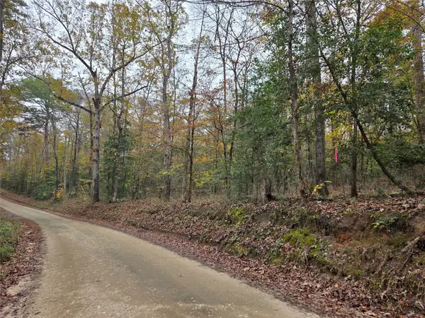 TBD County Road 3150, Colmesneil, TX 75938