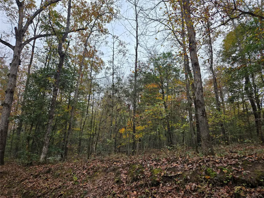 TBD County Road 3150, Colmesneil, TX 75938 - Image #3