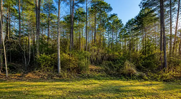 270 Curry Street, Livingston, TX 77351