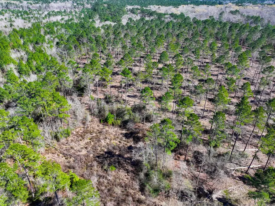 1 Boontown Road, Trinity, TX 75845 - #3