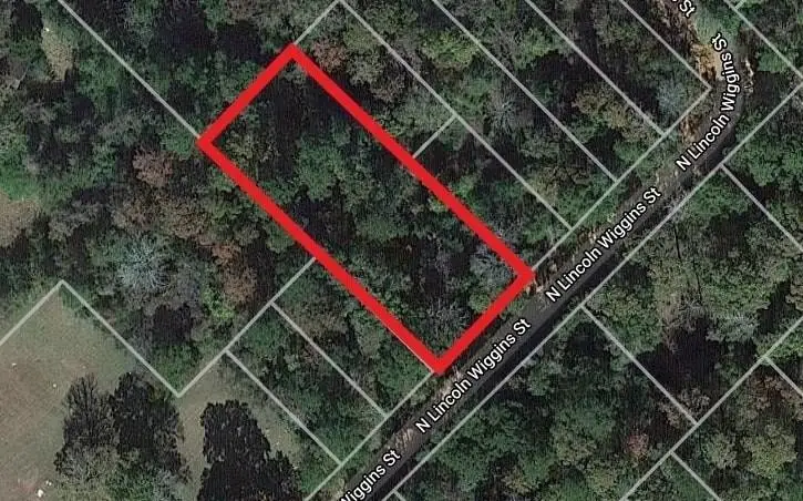 00 N Lincoln Wiggins Street, Livingston, TX 77351 - #1