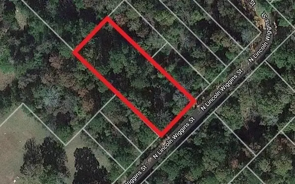 00 N Lincoln Wiggins Street, Livingston, TX 77351