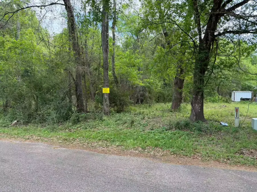 24802 Marks Road, Splendora, TX 77372 - #2