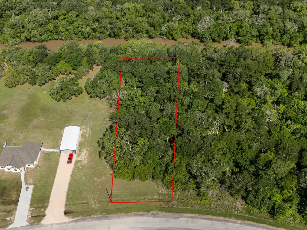 10 River Hollow Way, Blessing, TX 77419 - Image #1