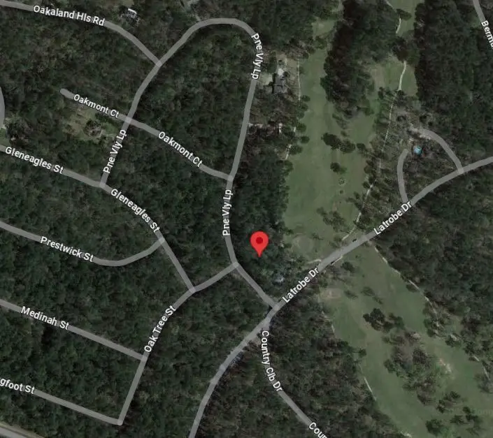 0 Pine Valley, Huntsville, TX 77320 - #3