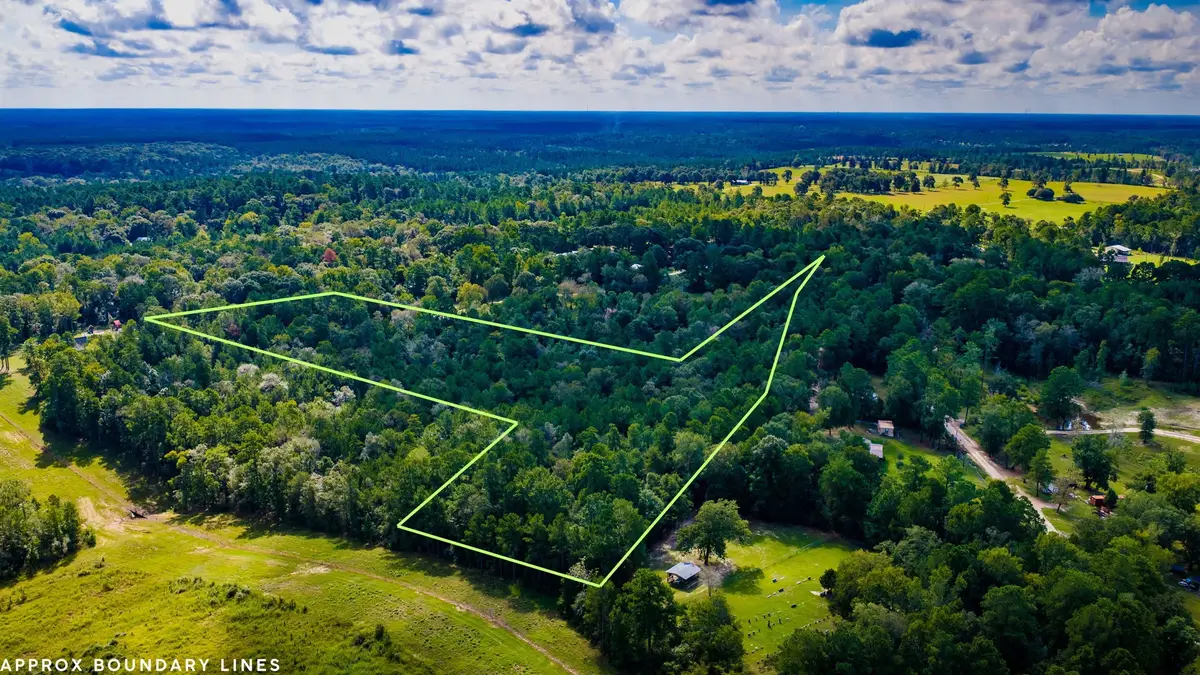TBD Old Israel Road, Livingston, TX 77351 - #1