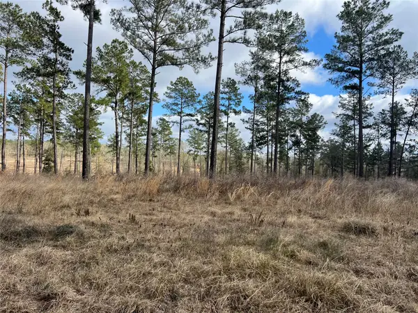 TBD 7 Red Lowe Road, Livingston, TX 77351