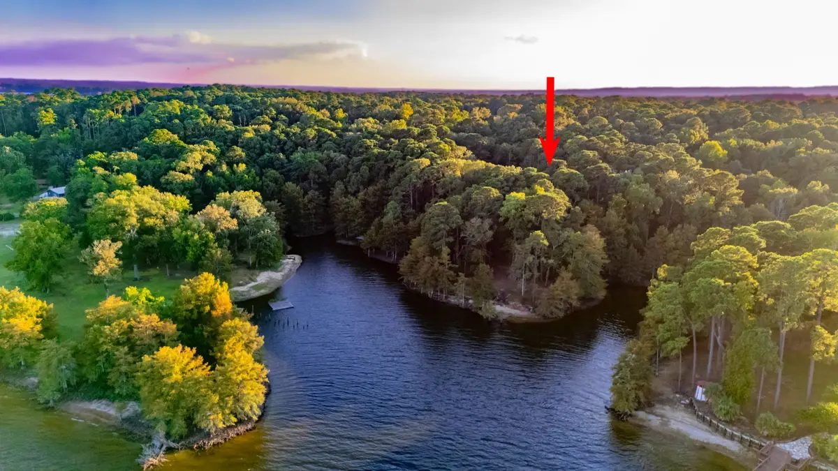 477 Lakeshore Drive, Hemphill, TX 75948 - #1