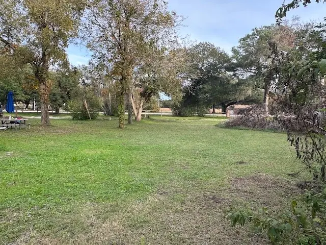 229 University Drive, Prairie View, TX 77445 - Image #3