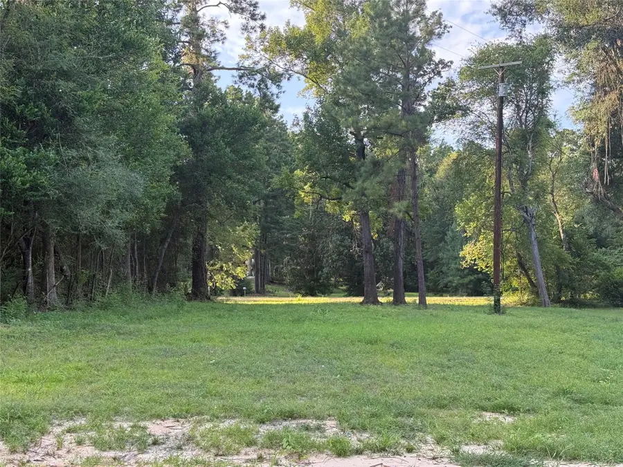 14579 Hwy 87 N, Burkeville, TX 75932 - #2