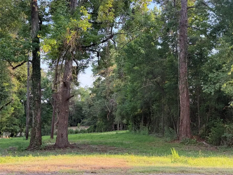14579 Hwy 87 N, Burkeville, TX 75932 - #3