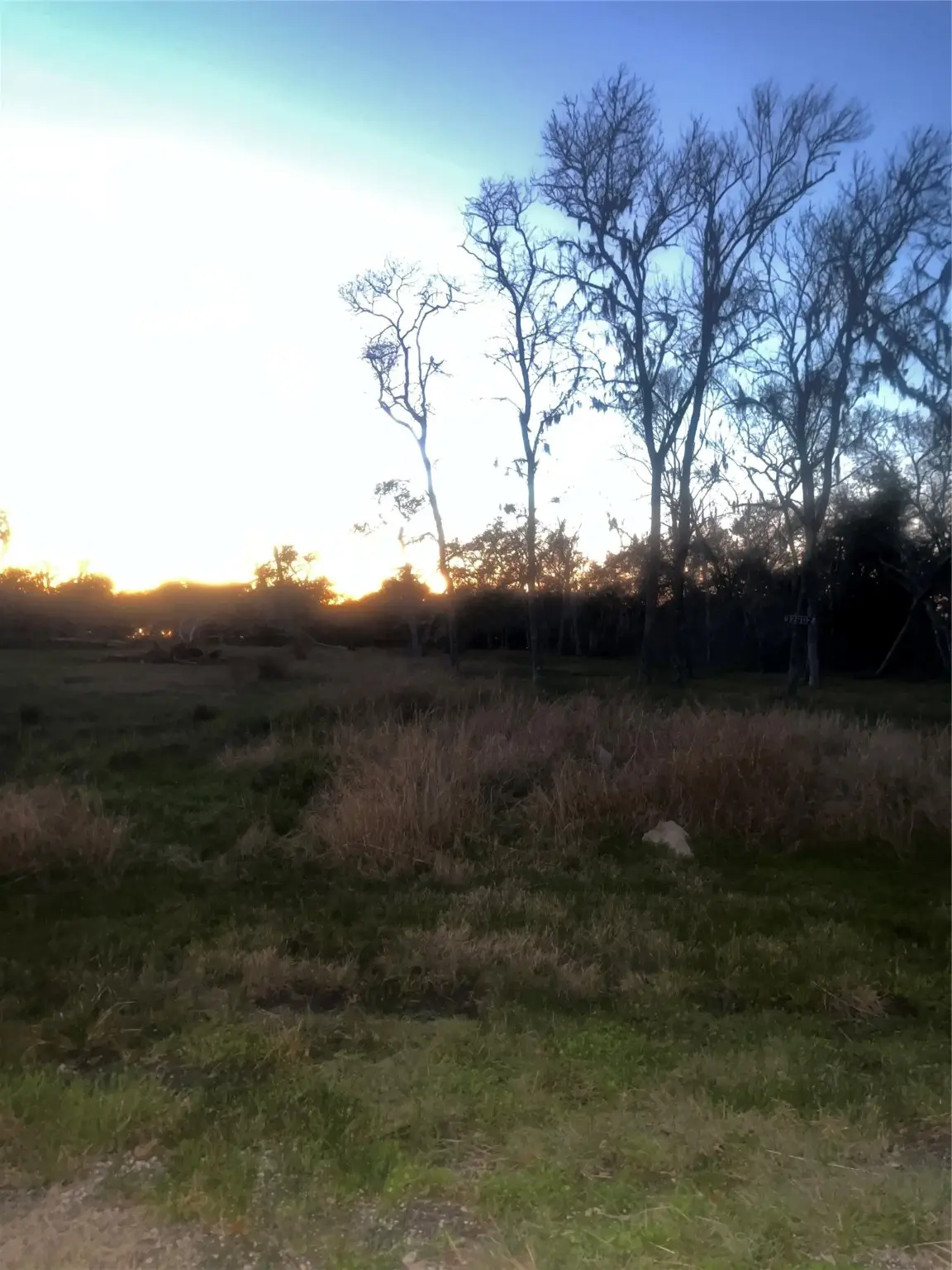 32602 Bayou Bend, Richwood, TX 77515 - #1