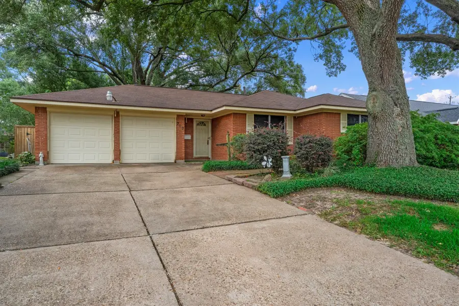 717 Mark Street, Deer Park, TX 77536 - #2