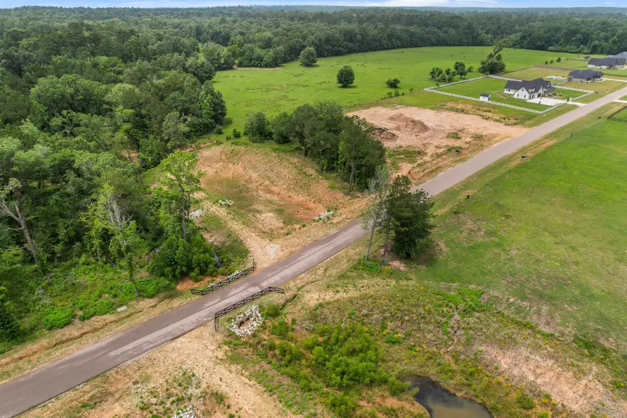 24827 Two Rivers Road, Montgomery, TX 77316 - #2