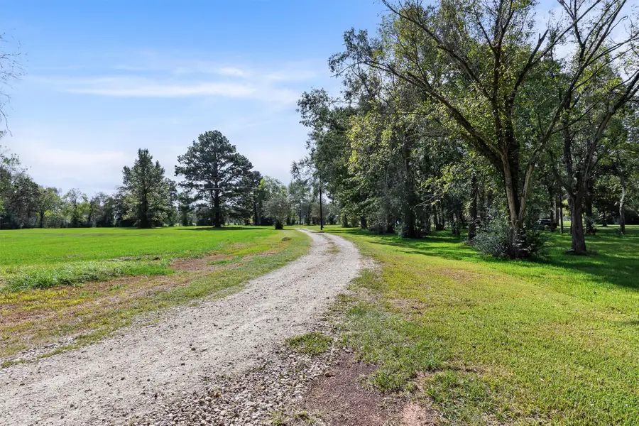 180 Mt Zion, New Waverly, TX 77358 - #2
