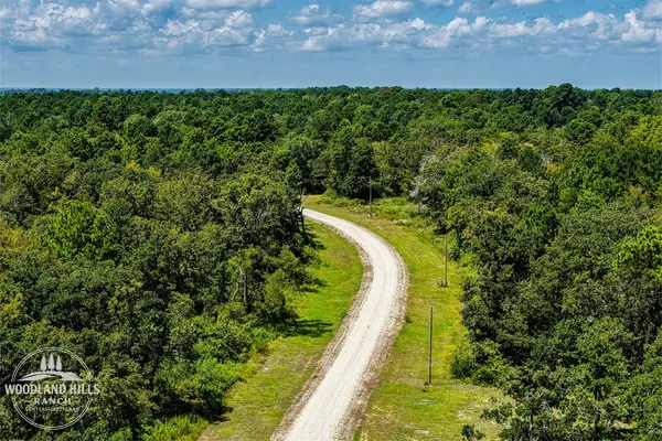 10 Acres Lot 81 Woodland Hills Ranch, Centerville, TX 75833