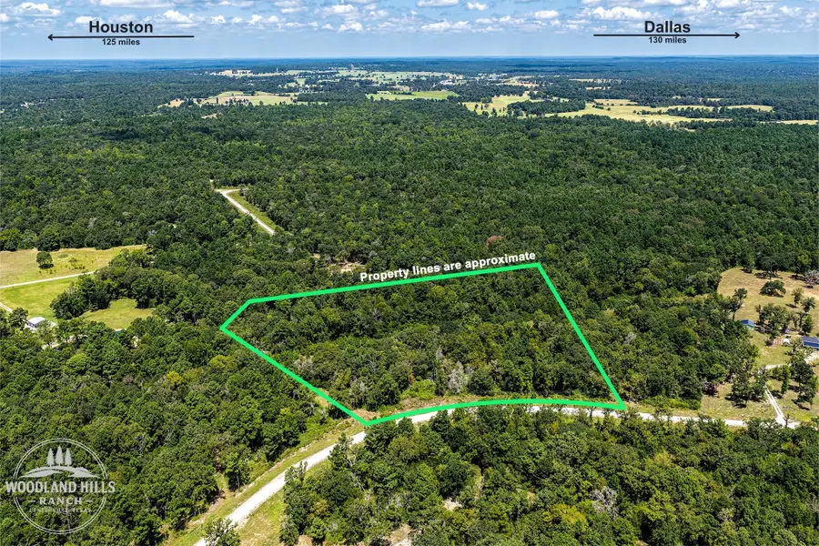 10 Acres Lot 81 Woodland Hills Ranch, Centerville, TX 75833 - #2