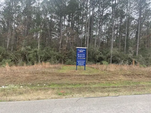 155 Copperleaf Road, Huntsville, TX 77340 - #2