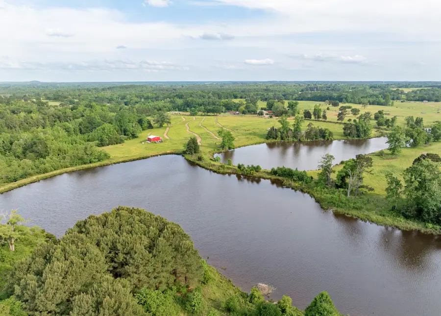 715 Crepe Myrtle Road, Big Sandy, TX 75755 - #3