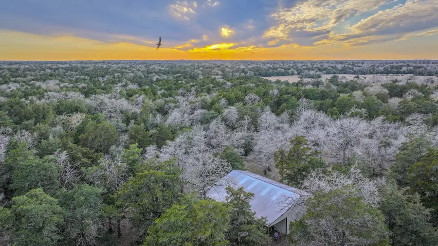 1042 Black Water Ln, Cat Spring, TX 78933 - #2