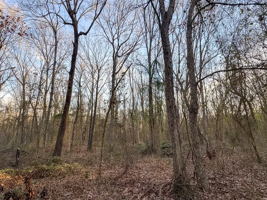 T-5 Cr 4302, De Kalb, TX 75559 - #3