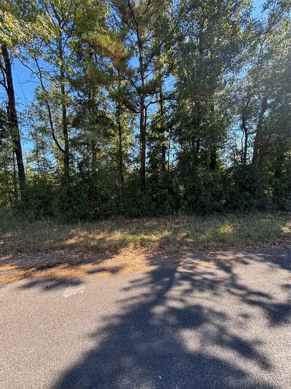 0 Old Highway 35 N, Livingston, TX 77351