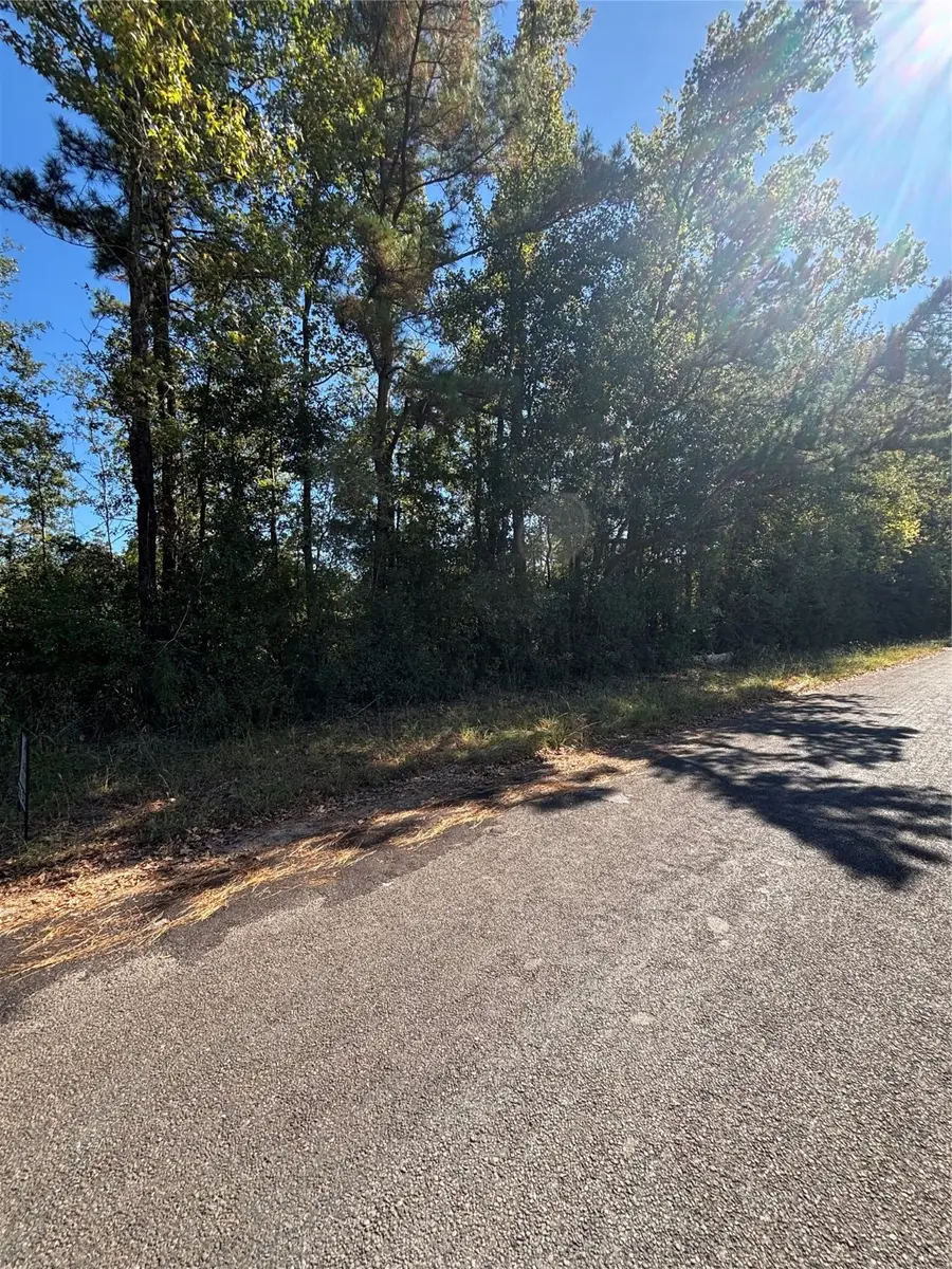 0 Old Highway 35 N, Livingston, TX 77351 - Image #3