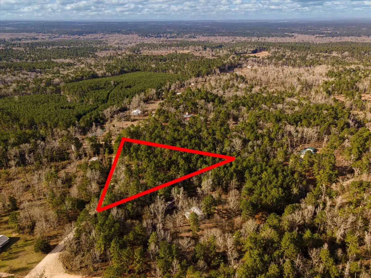 TBD County Road 1172, Kennard Ratcliff, TX 75858 - #1