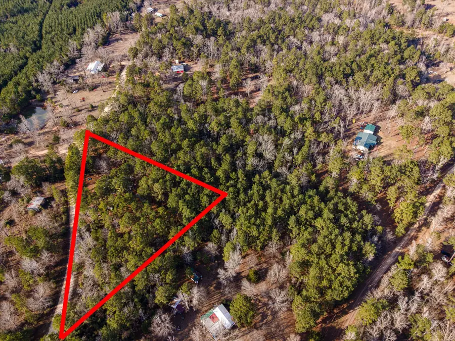 TBD County Road 1172, Kennard Ratcliff, TX 75858 - #2