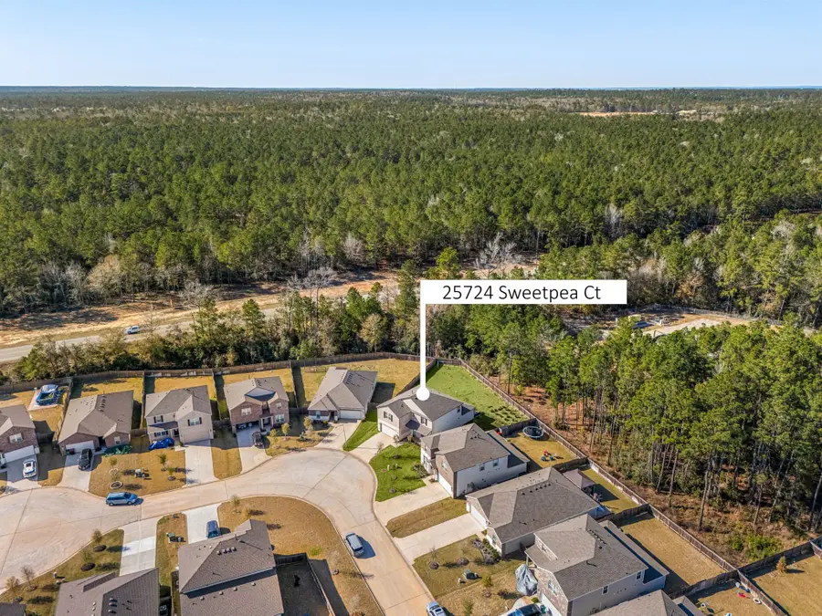 25724 Sweetpea Court, Montgomery, TX 77316 - Image #2
