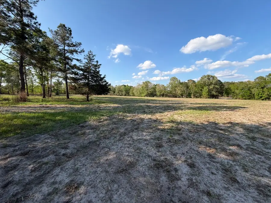 TBD N County Road 4050, Lovelady, TX 75851 - #3