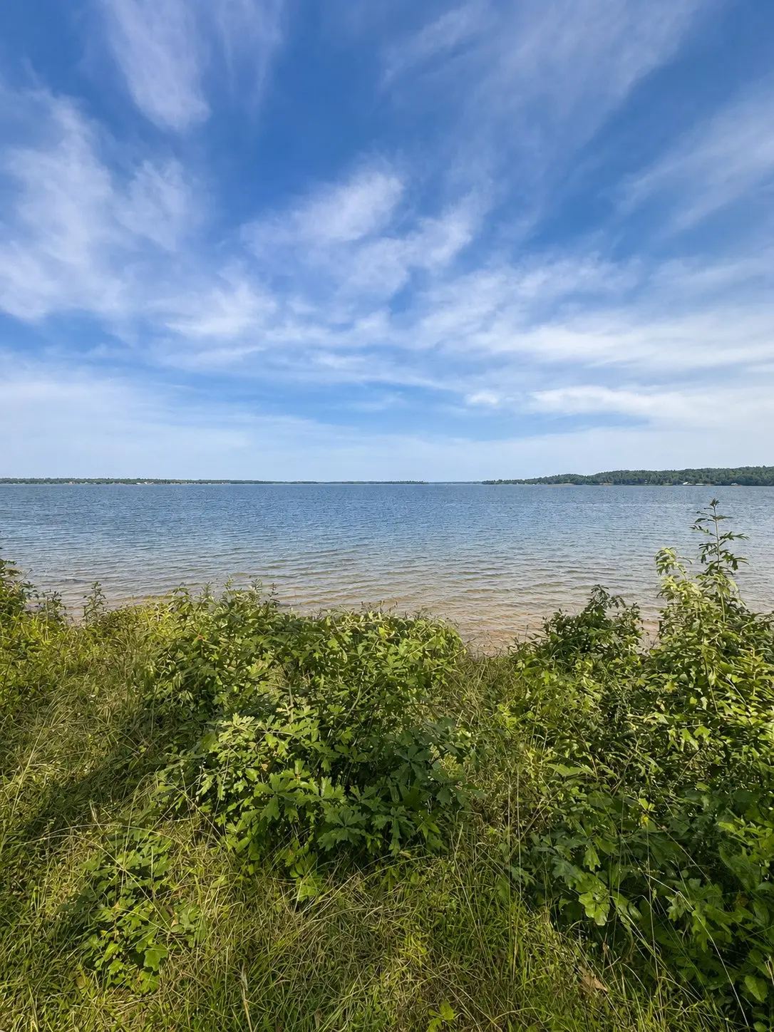 17964 Lookout Lake Circle, Flint, TX 75762 - #1