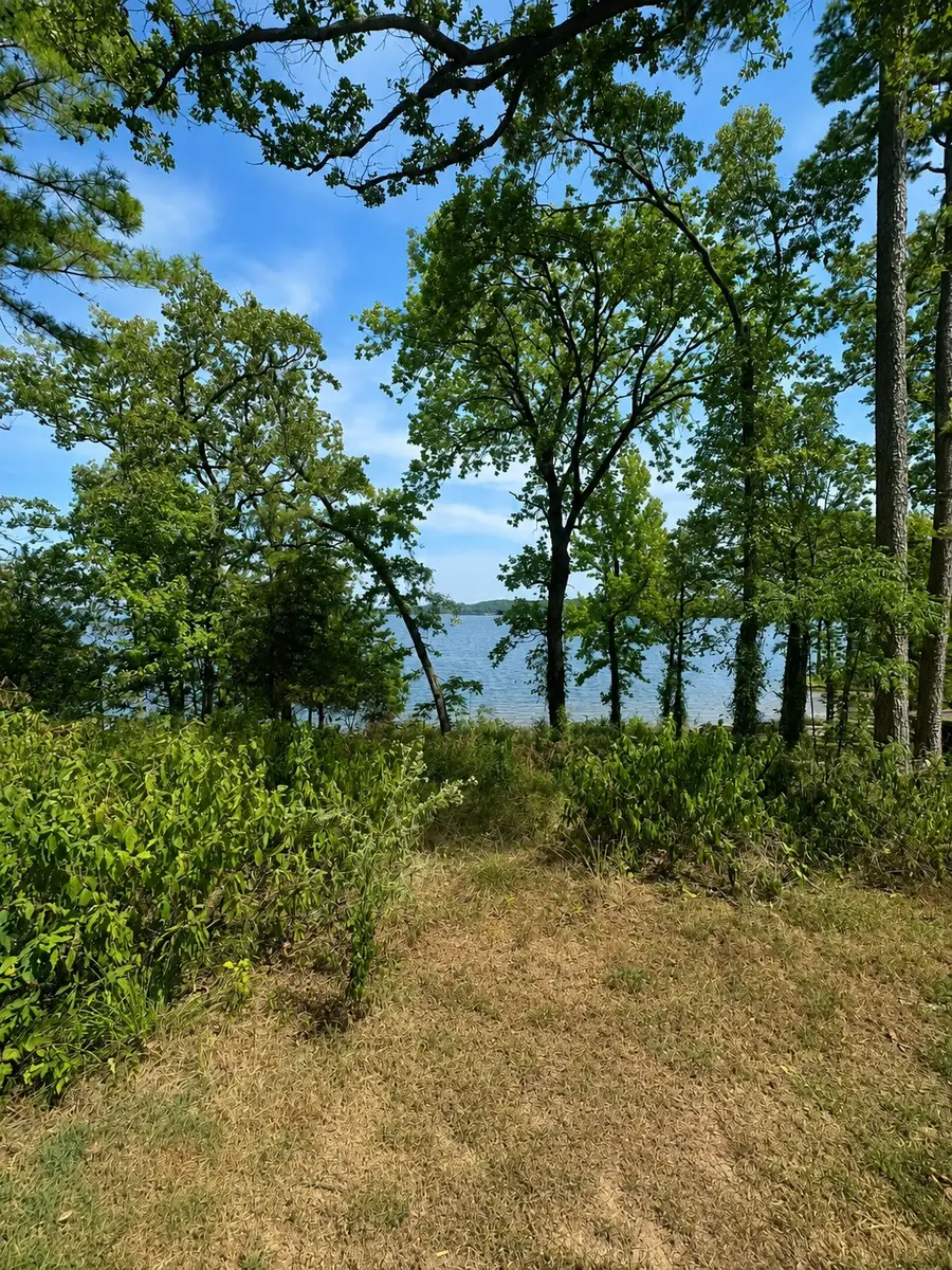 17964 Lookout Lake Circle, Flint, TX 75762 - #2