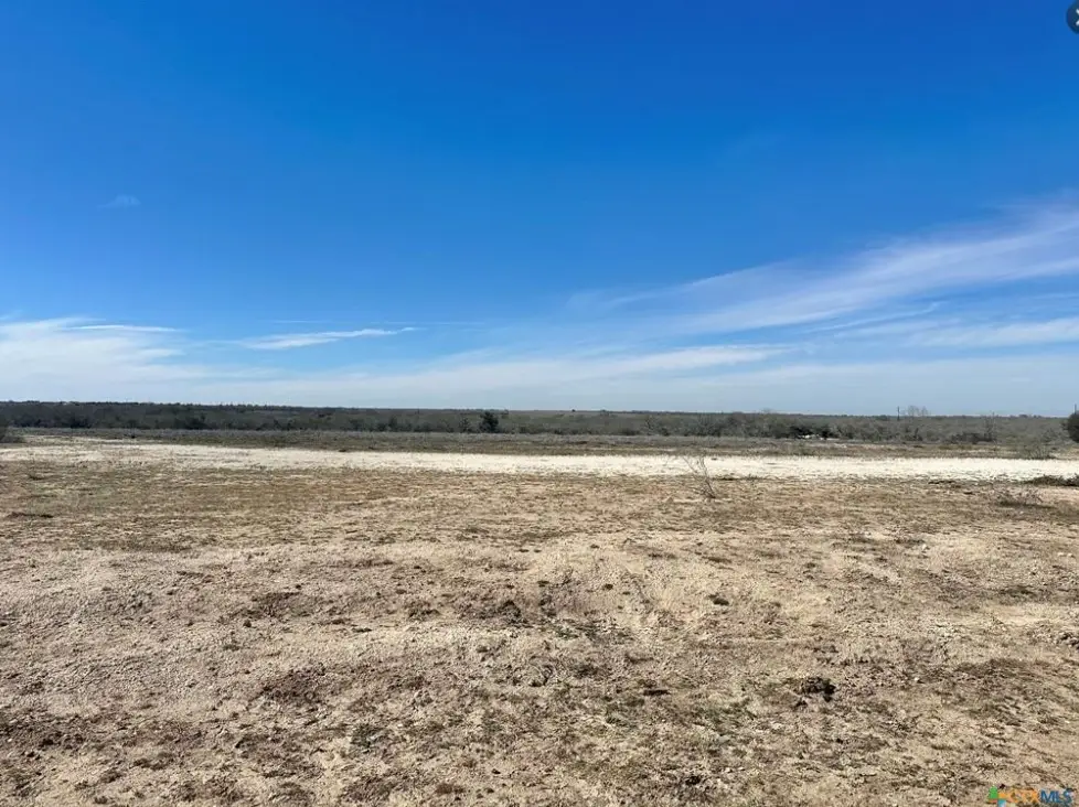 000 Fm 743, Goliad, TX 77963 - #1
