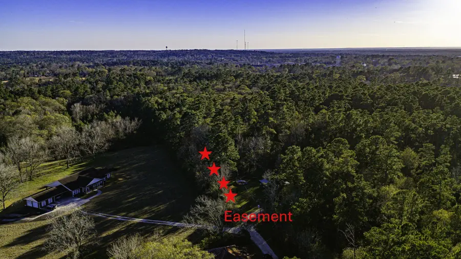 TBD Joe Rushing Lane, Livingston, TX 77351 - #2