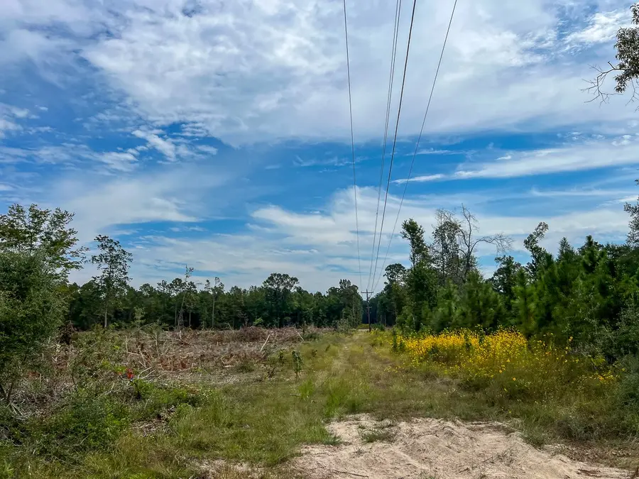 2 Fm 1416, Call, TX 75933 - #3