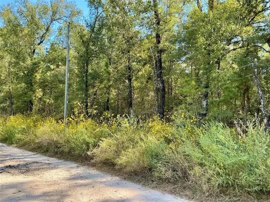 TBA Wendy Way Way, Livingston, TX 77351 - #3