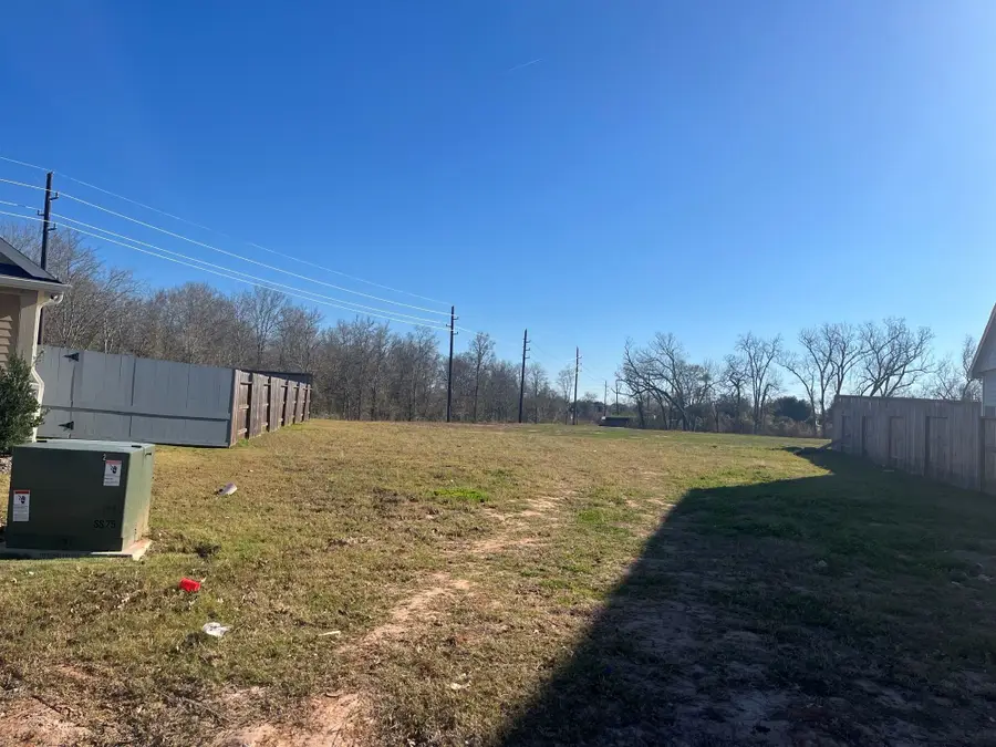 32307 Comet Darner Way, Fulshear, TX 77441 - Image #2